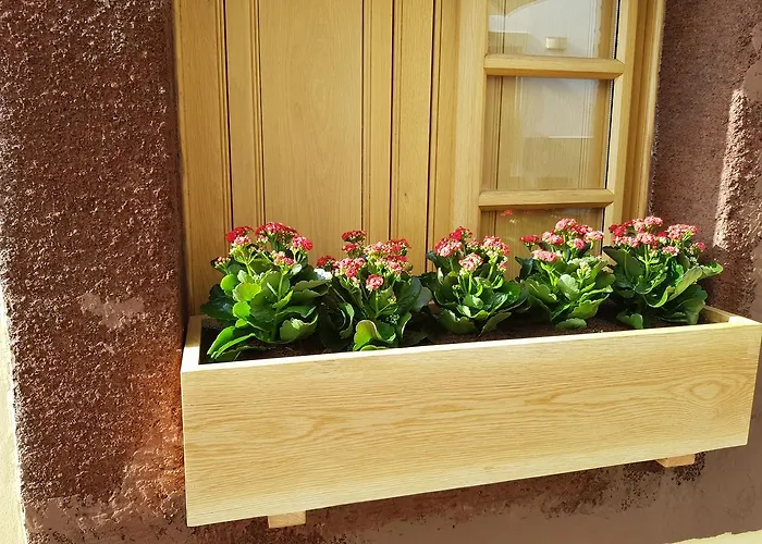 Apartman Sao Thiago House Madeira Funchal